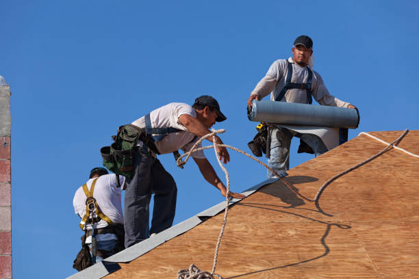 Best Roof Restoration Services  in Flora, IL