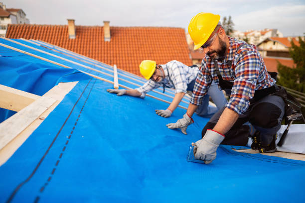 Best Sealant for Roof  in Flora, IL